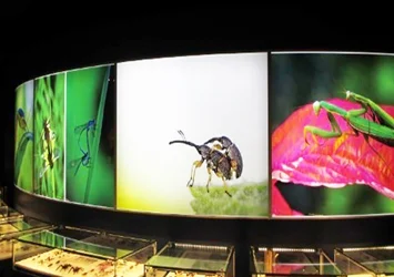 Biodôme Montreal Canada