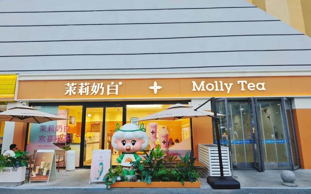 Blueview Store Lighting Project: Molly Tea