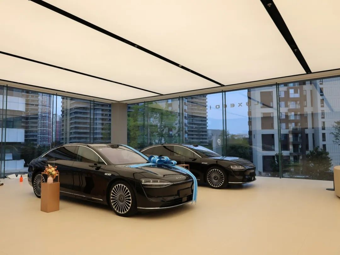 Blueview Automotive Showroom Lighting Case